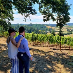 $85 Vineyard Tour