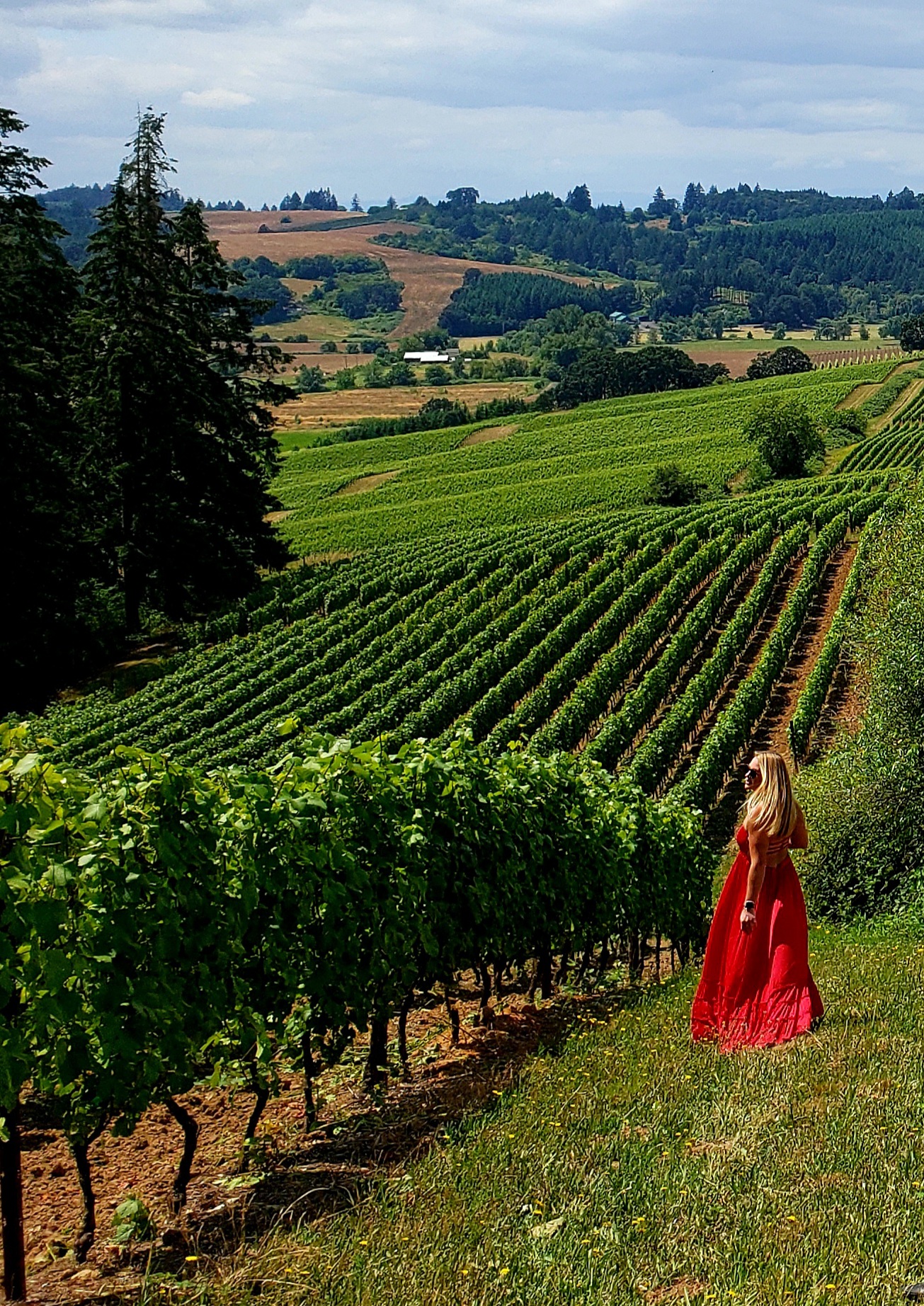 Vineyard touring in style