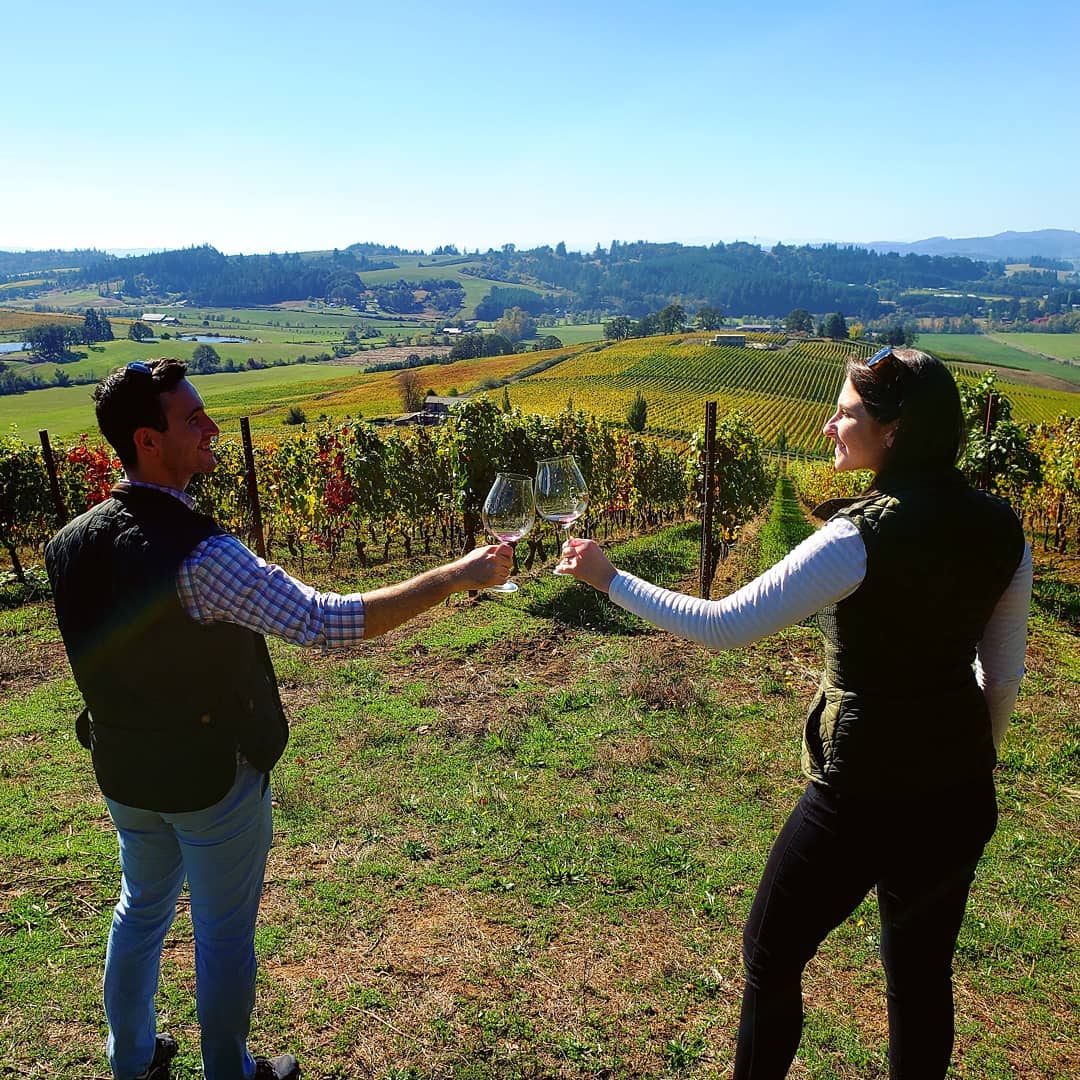 Guided vineyard tour.
