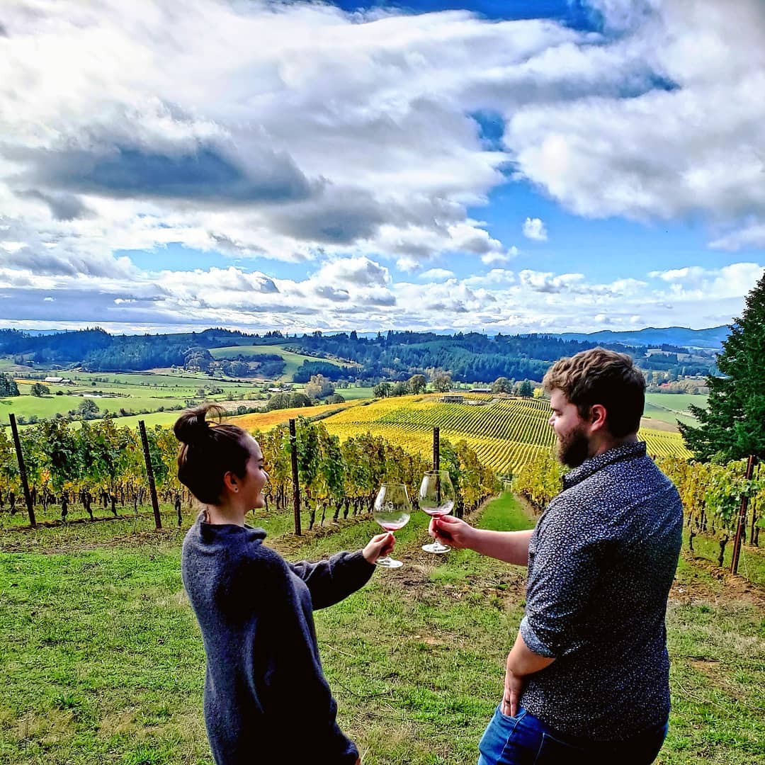 Guided vineyard tour.