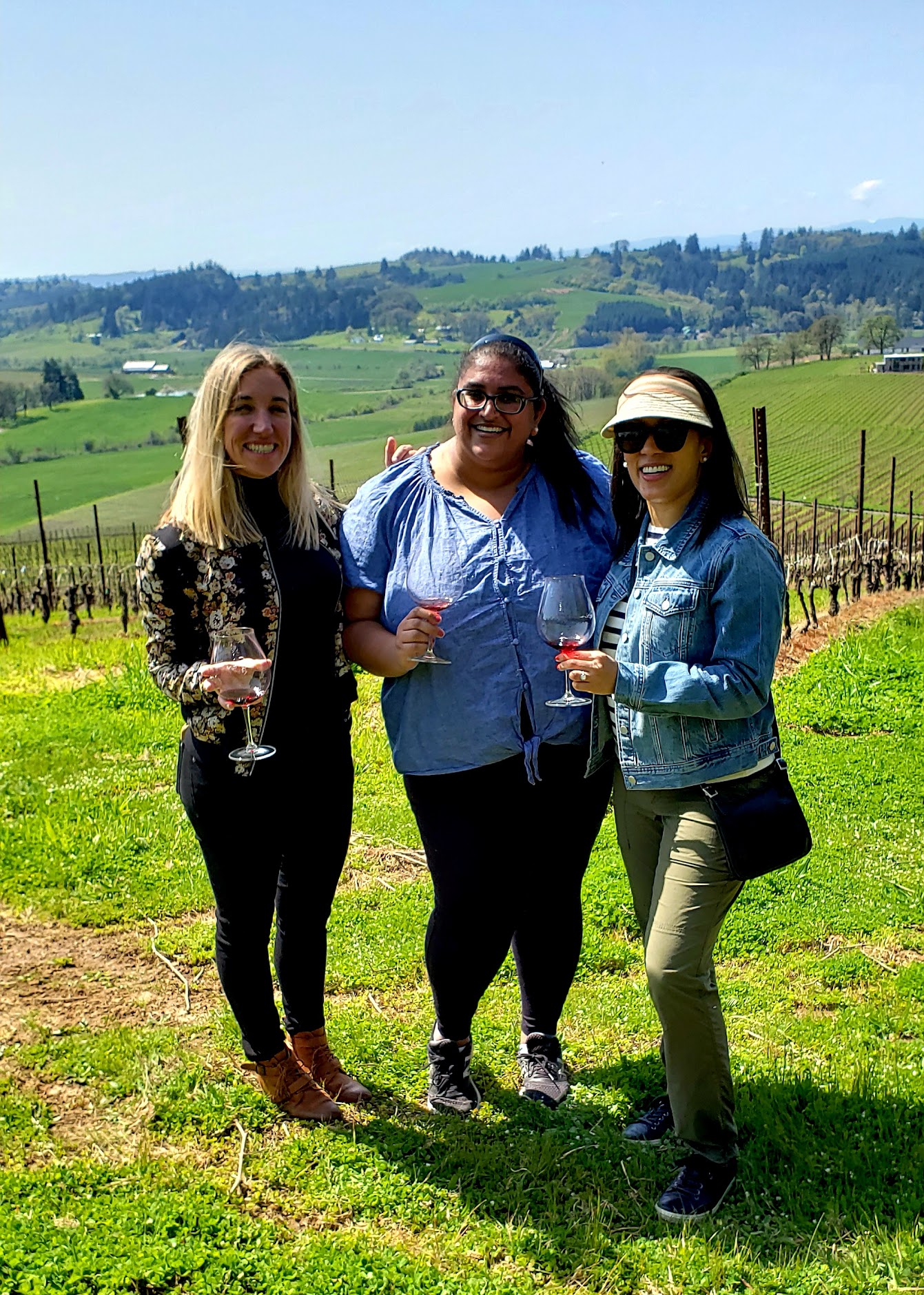 Guided vineyard tour.