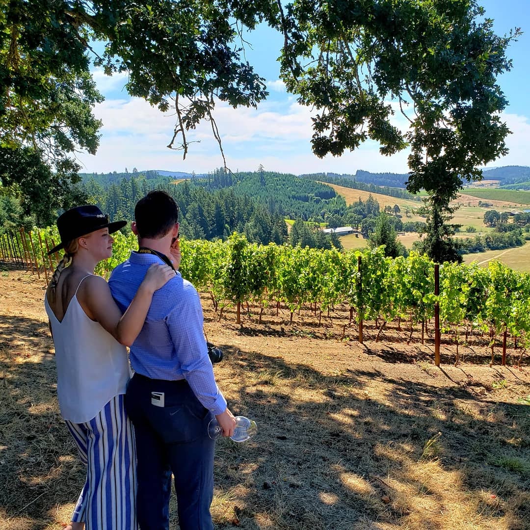 Guided vineyard tour.