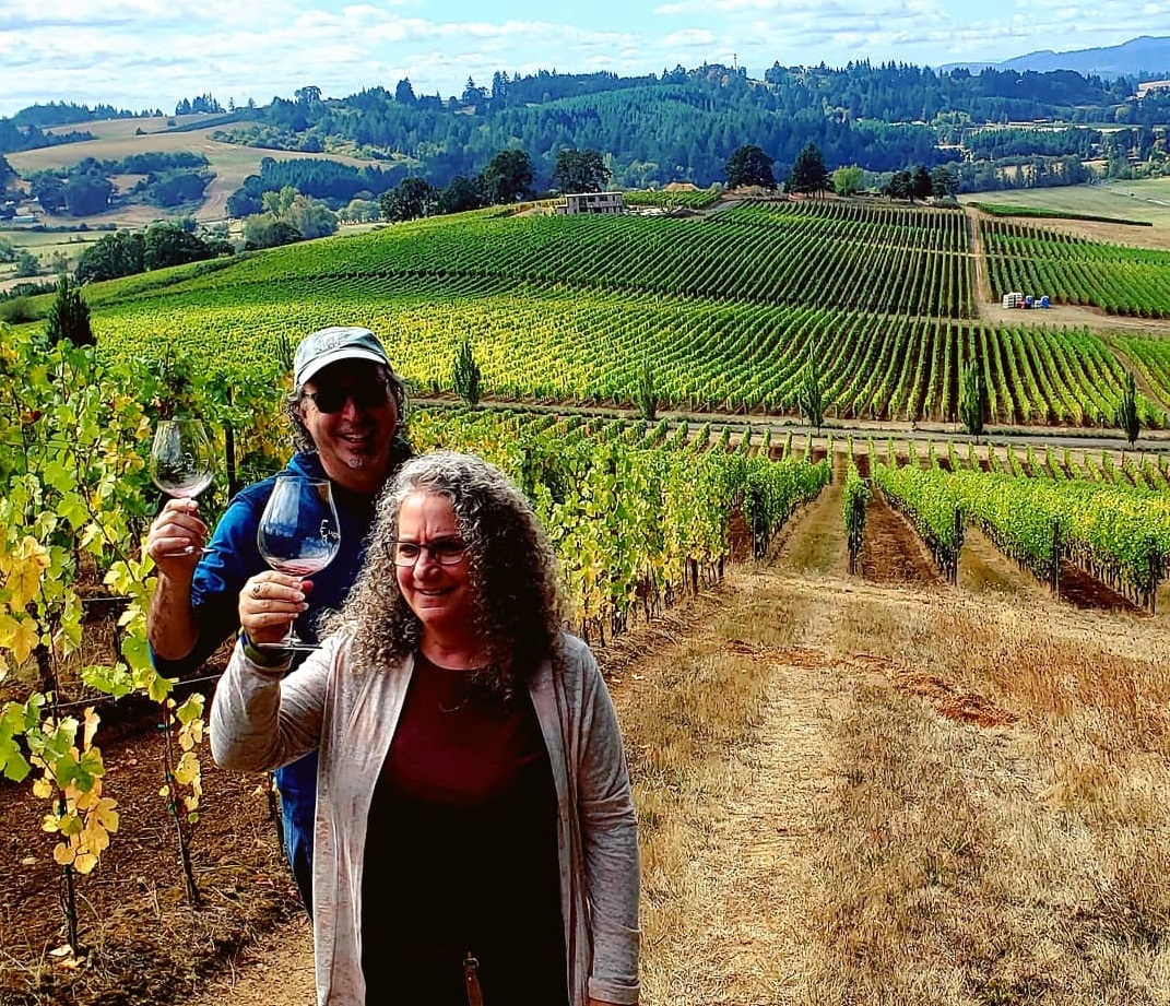 Guided vineyard tour.